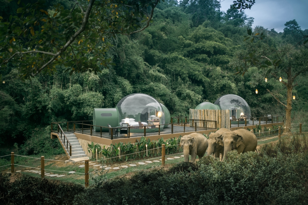 На курорте Anantara Golden Triangle Elephant Camp & Resort появились прозрачные шатры